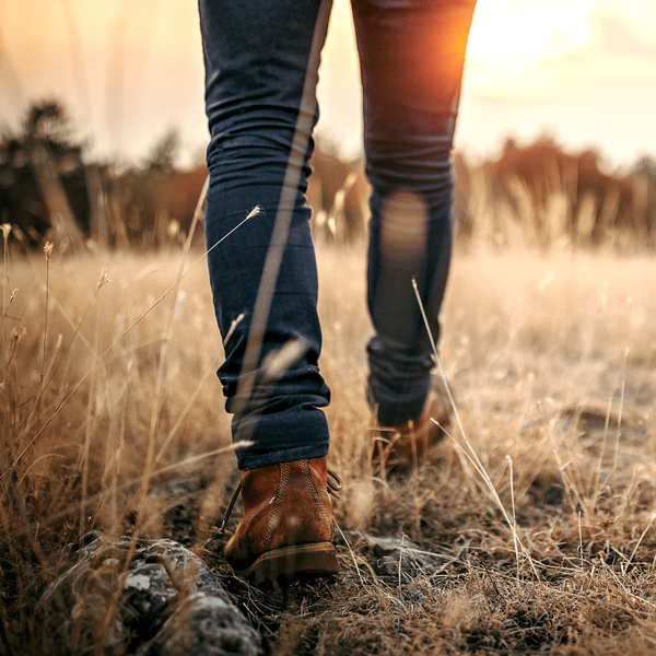 Pilot Slachtofferdevice gestart