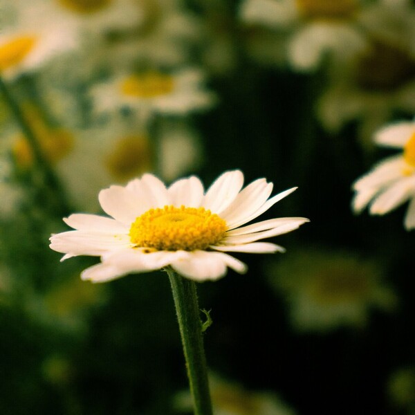 Ernstig verslaafd aan ‘wondermiddel’ GHB: “Als je 24 uur per dag onder invloed of bewusteloos bent, is het lastig om helder naar je eigen leven te kijken”  